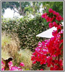 Venice Garden